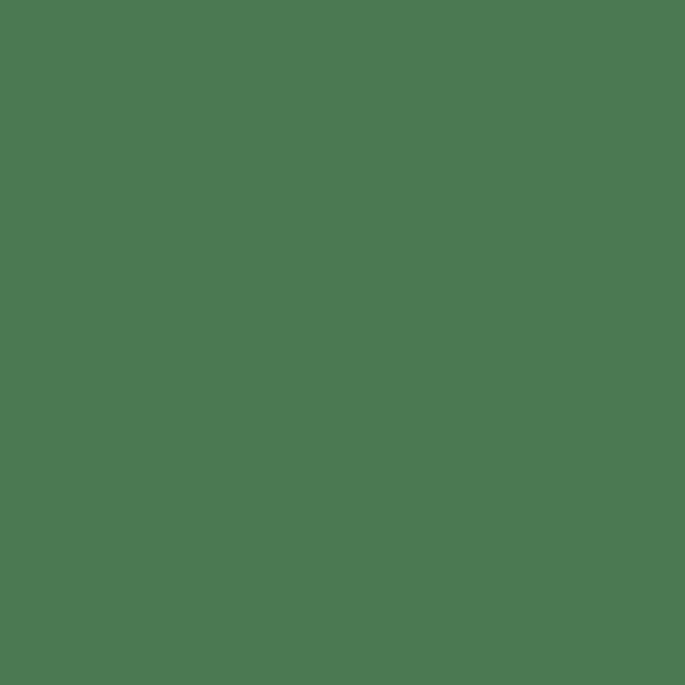 Faber-Castell, Colored Pencils, Art & School, Goldfaber, 292004, Permanent Green Olive